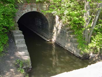 DSC00087
