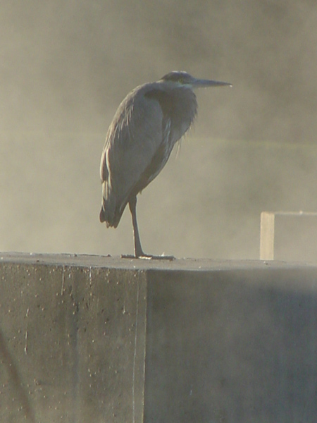 DSC00070