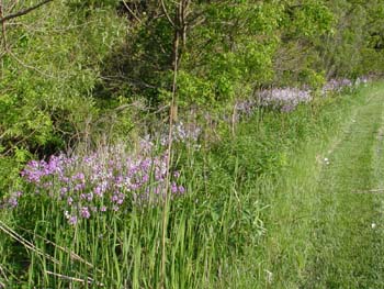 DSC00094