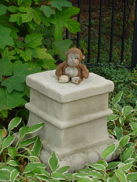 DSC00125