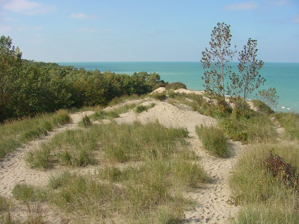 DSC00063