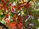 DSC00058