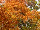 DSC00060