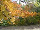 DSC00061