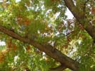 DSC00068