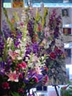 DSC00035