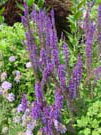 DSC00040