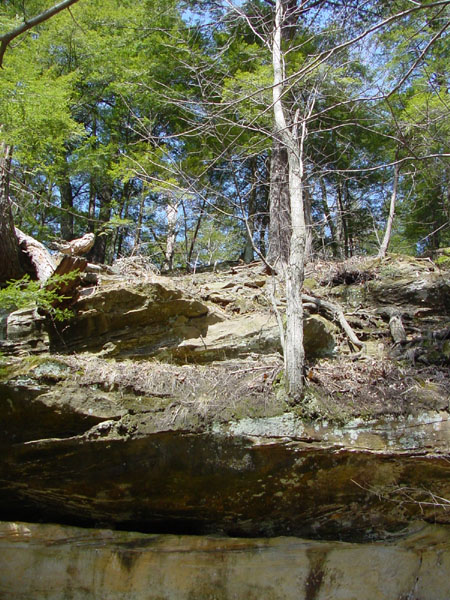DSC00009