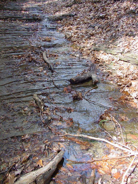 DSC00032