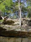 DSC00009