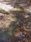 DSC00031