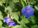 DSC00005