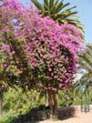 DSC00007