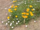 DSC00009