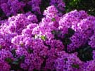 DSC00050