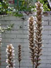 DSC00051