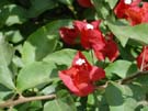 DSC00053