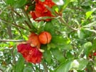 DSC00054