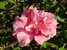 DSC00035