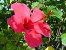 DSC00040