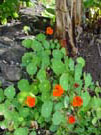 DSC00047