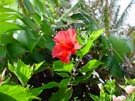 DSC00048