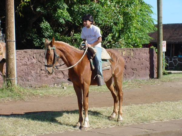 DSC00099