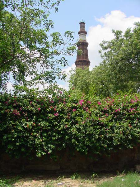 DSC00012