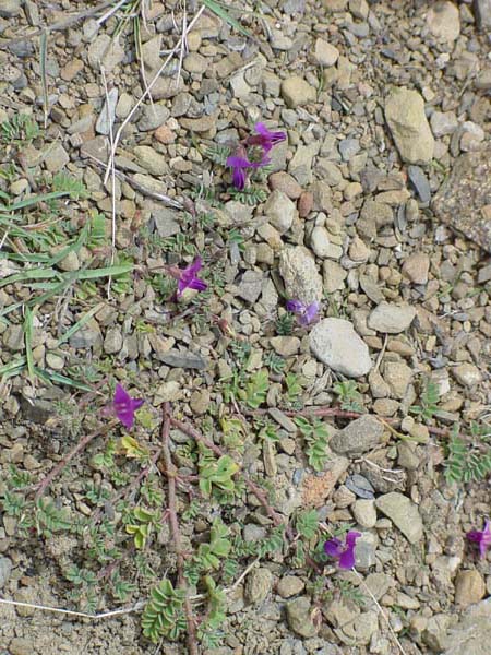 DSC00093