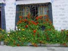 DSC00041
