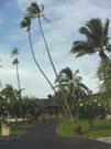 DSC00118