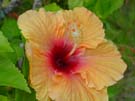 DSC00126