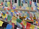DSC00033