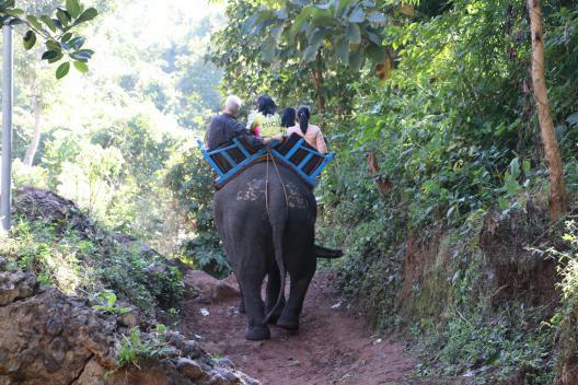 Elephant Ride