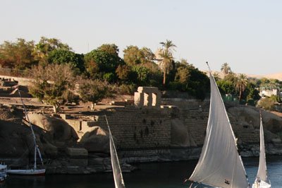 IMG_8823