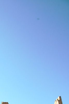 IMG_8756