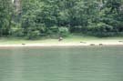 IMG_3548(1)