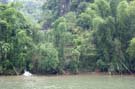 IMG_3556(1)
