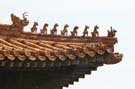 IMG_1795(1)